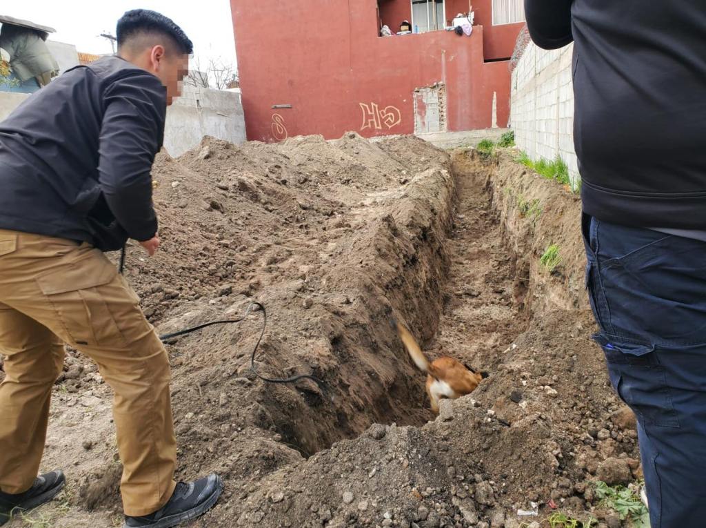 Localizan restos óseos durante cateo en predio de la colonia Ejido Francisco&nbsp;Villa