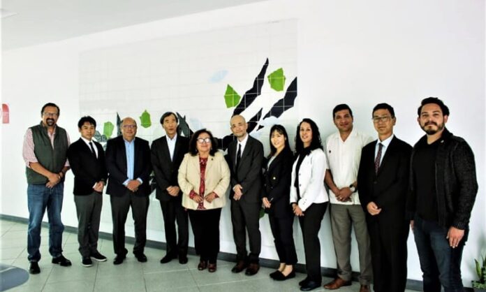 AVANZA PROYECTO PARA PROCECAR «HOTATE» JAPONÉS EN BAJA CALIFORNIA: SEPESCA&nbsp;BC