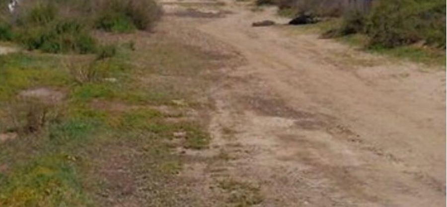 Hallan cadáver de un hombre atado de pies y manos en&nbsp;Maneadero