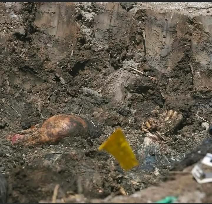 Localizan restos de 42 personas en Ixtlahuacán,&nbsp;Colima.