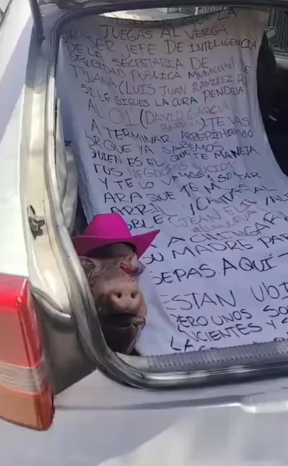 Dejan un vehículo con cabezas de cerdo y una cartulina con advertencias afuera de la secretaria de seguridad en&nbsp;tijuana
