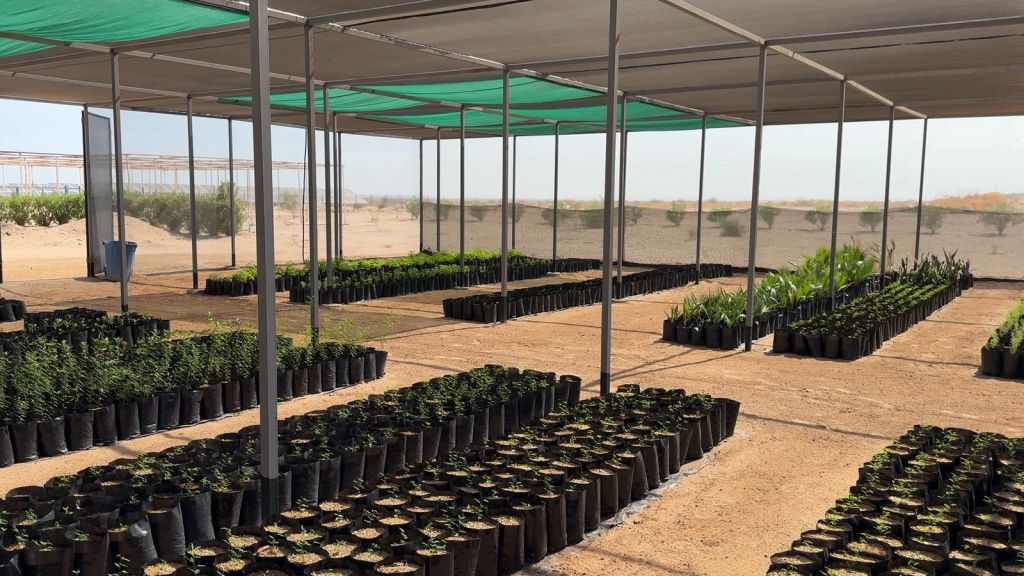 IMPULSA CESPM LA PRODUCCIÓN DE MÁS DE 5 MIL PLANTAS EN EL VIVERO DE LAS&nbsp;ARENITAS