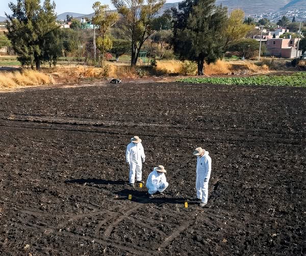 Hallan 20 cuerpos en fosas clandestinas