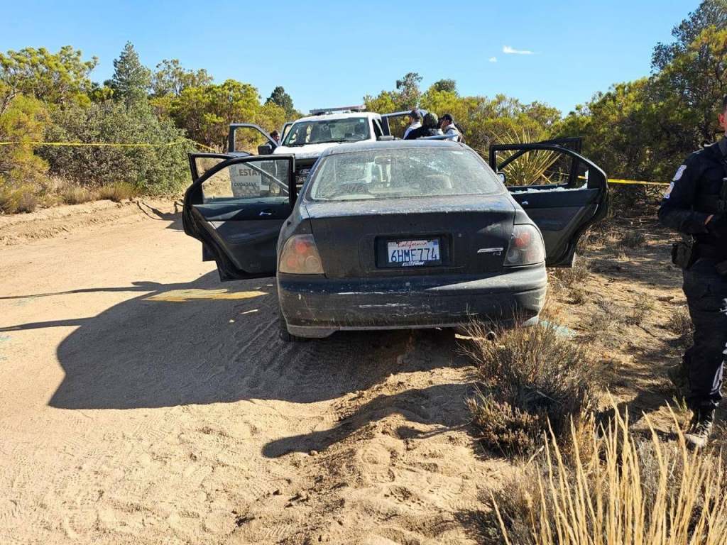 Detienen a presunto integrante de célula criminal tras enfrentamiento en Laguna&nbsp;Hanson