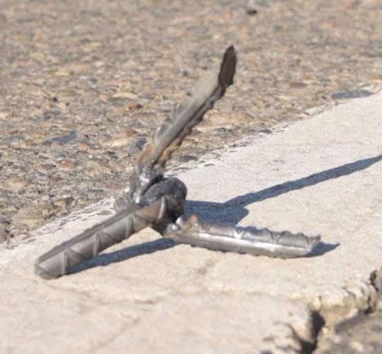 Localizan vehículo con presunta arma y artefactos conocidos como “ponchallantas”.